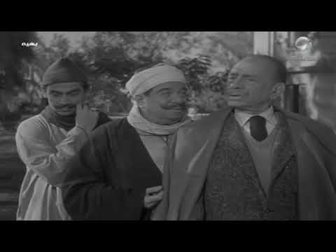 مين اللي بوظ محصول بهية؟ 🤔