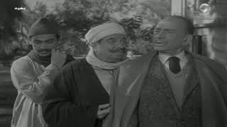 مين اللي بوظ محصول بهية؟ 🤔