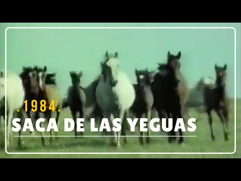 Saca de las Yeguas. Año 1984