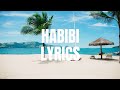 Habibi |Lyrics| Back 2 Love | Rahat Fateh Ali Khan feat Salim Sulaiman