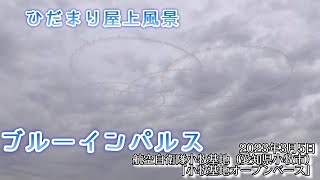 【ひだまり屋上風景】#ブルーインパルス 2023年3月5日 「小牧基地オープンベース」※手振れがひどくてすみません💦
