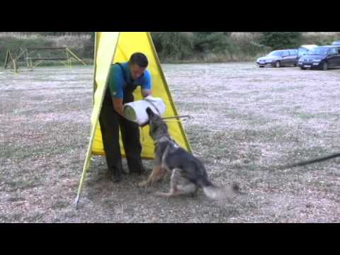 jabina Newa protection