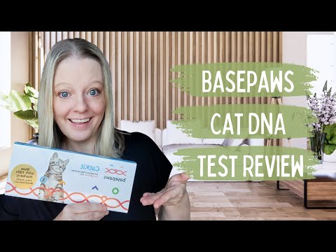 Basepaws Cat DNA Test Review