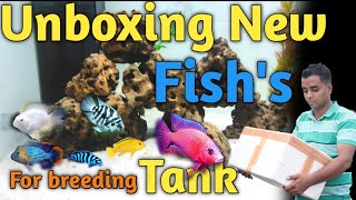 Unboxing New Fish's For Breeding Tank || Cichlid Fish Unboxing ||Fish & Aquarium Hobby Breeding tank
