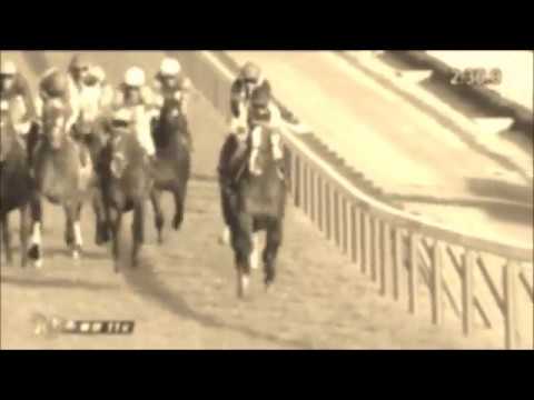 2017　アルゼンチン共和国杯（G2・芝2500m）結果動画　11/5 東京競馬場11Ｒ