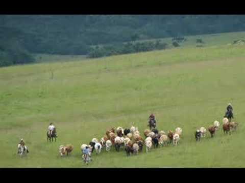 WALTER MORAES - NUMA TARDE DE CÉU AZUL -