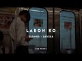 Labon Ko Slowed Reverb Bhool Bhulaiyaa