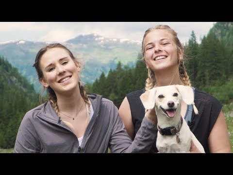 Hello Pippa und Jules Vogel im SalzburgerLand