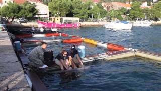 preview picture of video 'US Navy Marine Mammal Program Dolphin 2013 in Croatia'