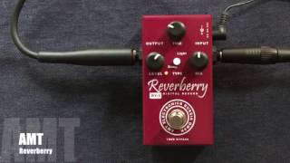 Video thumbnail for Test: AMT Reverberry parte 2 by Ariel Pozzo