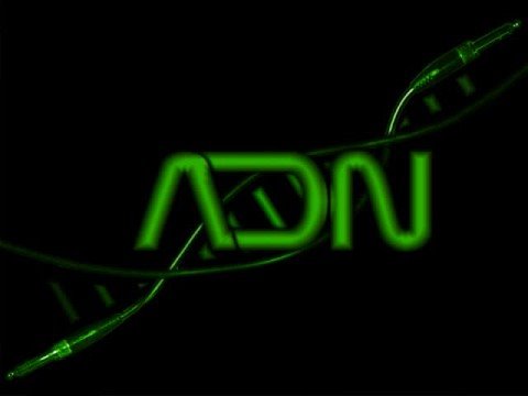 hustle up vs. sexy back (ADN Bootleg)_John Dalback ft.Justin Timberlake by ADN