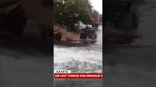 Download lagu Tidal Flooding Caused by Leaking Embankments During High Tide | Next One mp3 Download lagu Tidal Flooding Caused by Leaking Embankments During High Tide | Next One mp3
