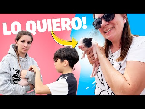 Rescatando muchos ANIMALES que no quieren en CASA, Aroa tien...