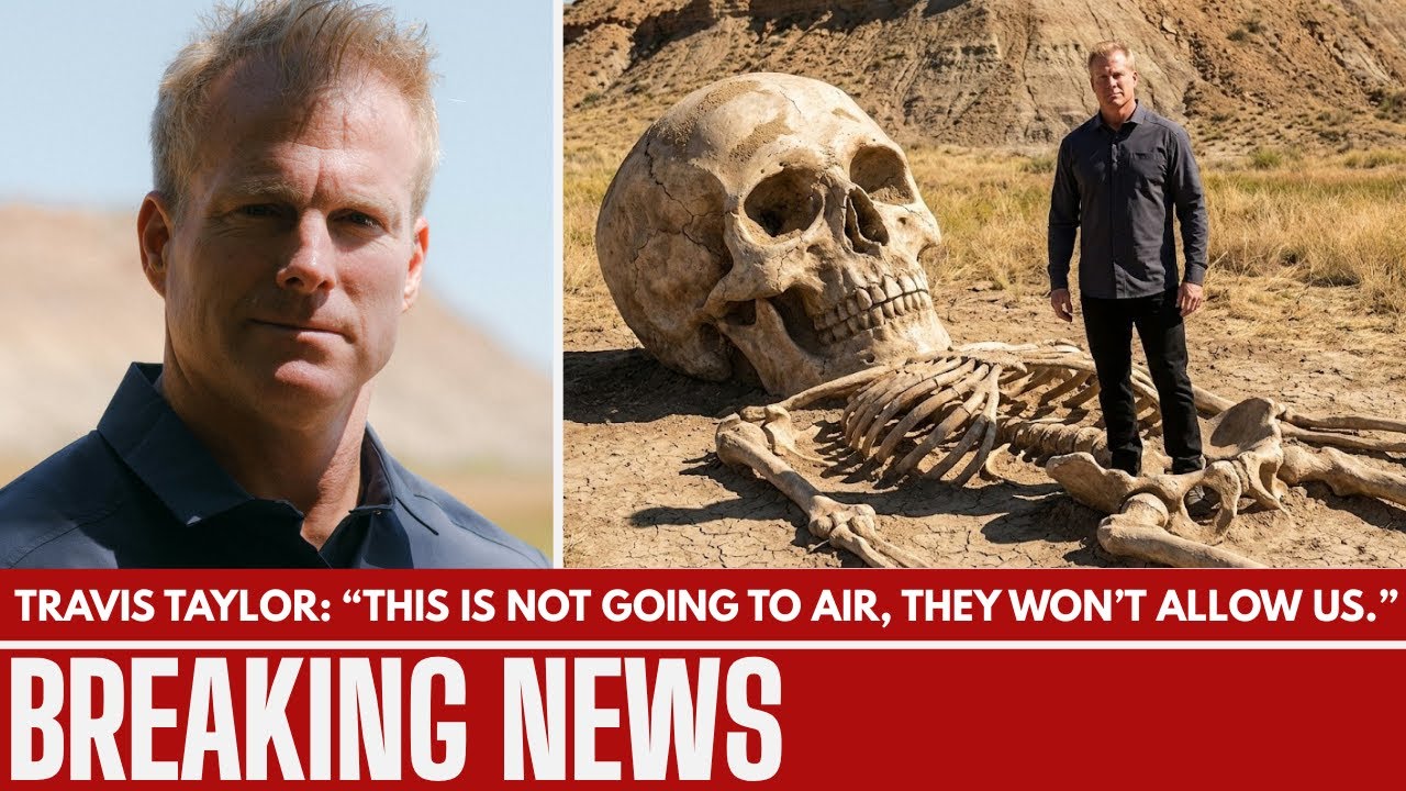 Thumbnail Download HD Thumbnail (1280x720)