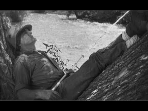 78 RPM - Harry Wilson & His Orchestra - Lazybones (1933)