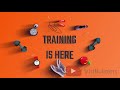 Create Stunning Videos via Expert Video Editing
