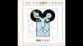 The Chameleons - One Flesh (1985)