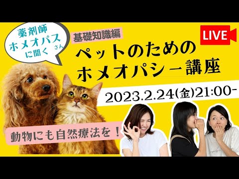 犬用のホメオパシー製品
