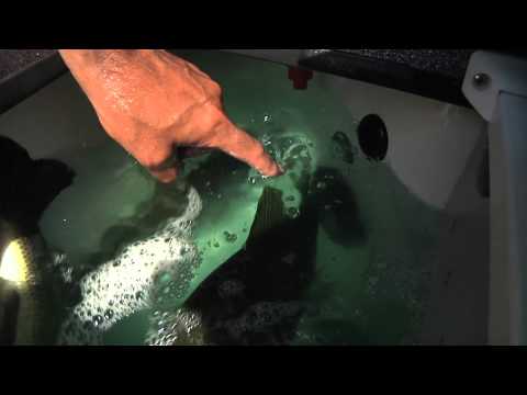 Chasin Outdoors #101-How to keep fish alive using the Oxygenator