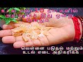 உடல் எடை 10 நாட்களில் அதிகரிக்க இது ஒன�