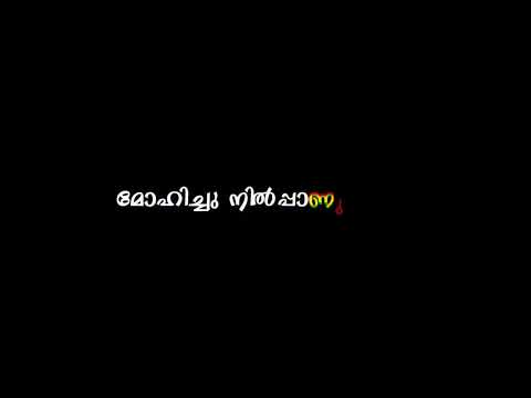 Ninnodu Mindan Ninne Thalodan | Phantom | Black Screen Lyrics Video