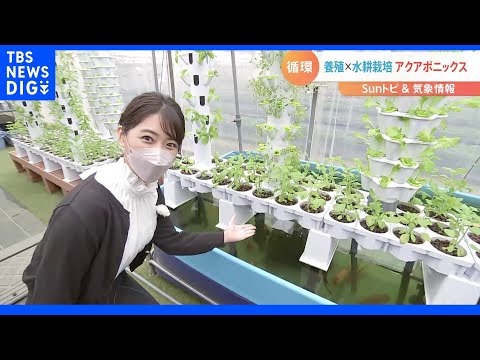 持続可能な農業 - 定義