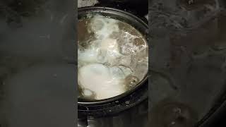 #turismo #caminhoparaumavidamelhor #caminhoparaumavidamelhor #nordeste #uber