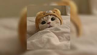 Cover art for dier chentaku // sped up