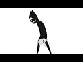 Spinel X Cartoon Cat
