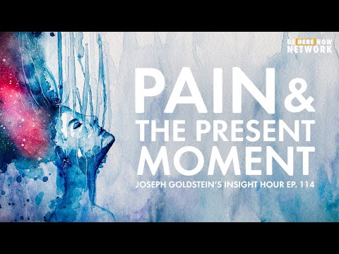 Pain & The Present Moment - Joseph Goldstein's Insight Hour Ep. 114