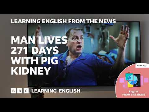 創紀錄！豬腎臟移植人體成功運作九個月！從新聞學英文 (Transplanted pig kidney works inside patient for record nine months | Learning English from the News)