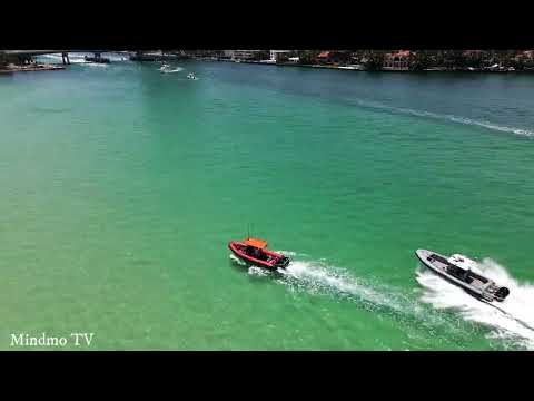 DNDM & Hussein Arbabi NATURE