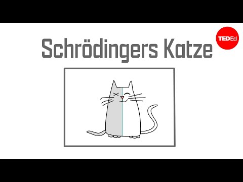 Schrödingers Katze: Ein Gedankenexperiment der Quantenmechanik – Chad Orzel