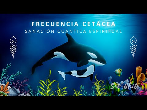 FRECUENCIA CETÁCEA • SANACIÓN CUÁNTICA ESPIRITUAL 🐋 Canto de BALLENAS y DELFINES 741 Hz