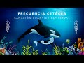 FRECUENCIA CETÁCEA • SANACIÓN CUÁNTICA ESPIRITUAL 🐋 Canto de BALLENAS y DELFINES 741 Hz