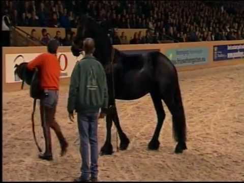 Hengstenkeuring 2012 showavond vrijdag 13 januari