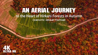 Hirkani Forest Nothen Of IRAN 4k Cinematic Drone Footage