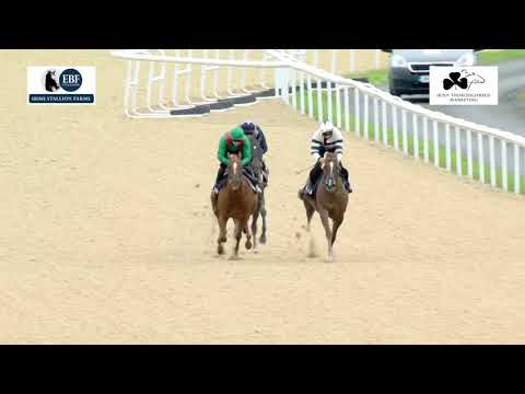 Irish EBF Barrier Trials 29 July 2020 - Batch 10