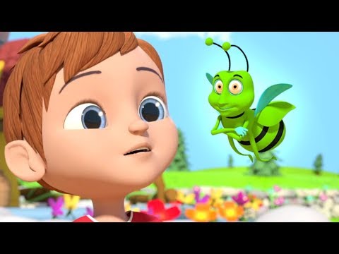 Shoo Fly Don't Bother Me - Cartoon Songs & Nursery Rhymes by Little Treehouse