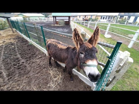 Gospodarstwo Agroturystyczne Cicho-sza Niedźwiedź