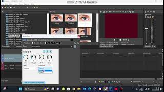 Request: How To Make Melodie Major on Sony Vegas?