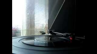 The Shanes- Crazy Country Hop