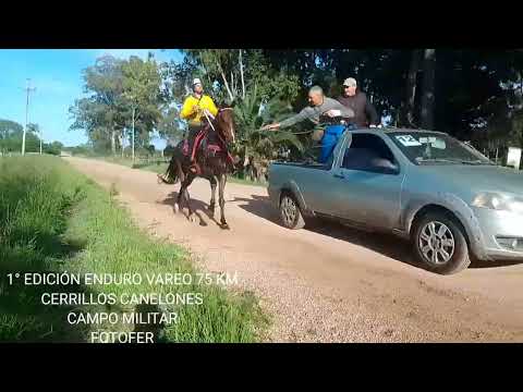 Ganadora ..."REINA ISABEL".    ENDURO VAREO.. 75 KM .CAMPO MILITAR ..CERRILLOS.. CANELONES