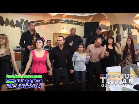 Revelion Dunarea Albastra 2014 - 10 Damian Conac