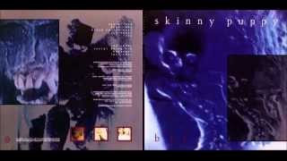 SKINNY PUPPY - Dead Lines