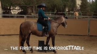 Riding with HHS: starting a horse under saddle