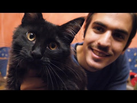 MY GIRLFRIEND'S NEW CAT!