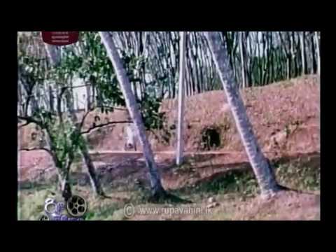 සියුමැලී සියුමැලි රෝස මලී - චිට්ටි 1995