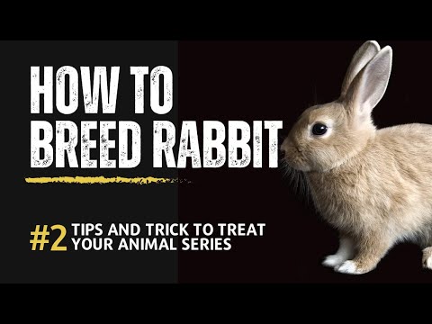 , title : 'How to Breed Rabbits: A Step-by-Step Guide'