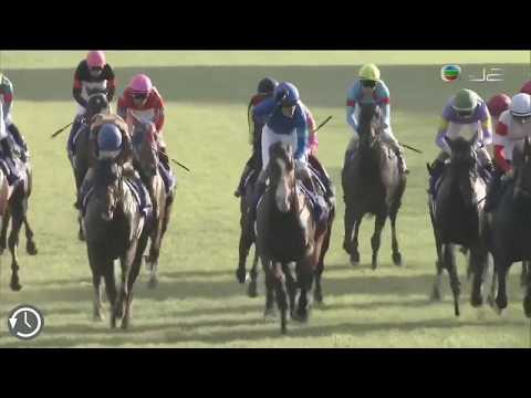 2019 短途馬錦標 2019 Sprinters Stakes G1